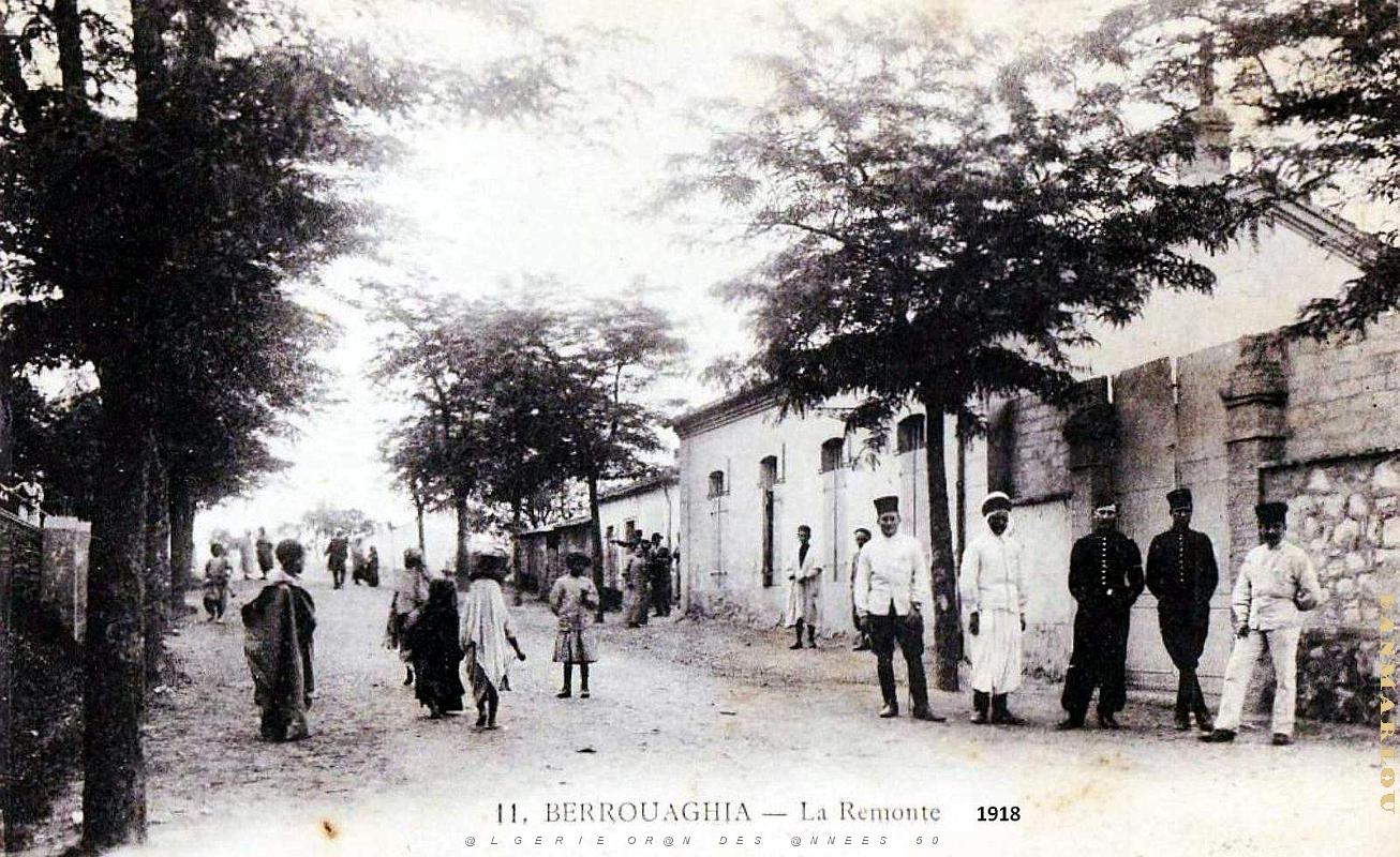 Berrouaghia - Remonte - 1918.jpg